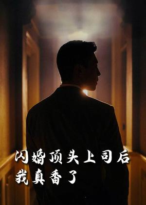 《闪婚顶头上司后我真香了（80集）潘悦铭&刘星辰&攒攒&袁颖（夸克网盘）》短剧封面