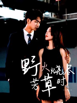 《野火烧尽芳草时(65集)黄垚&闫妍》短剧封面