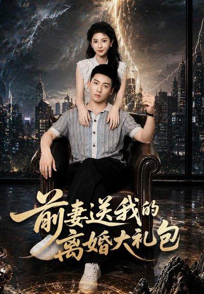 《前妻送我的离婚大礼包(82集)霍文琦&雷小米(百度网盘)》短剧封面