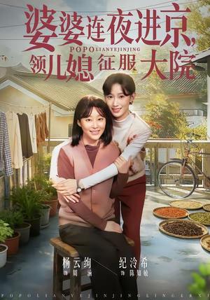《婆婆连夜进京，领儿媳征服大院（78集）纪泠希＆杨云绚（夸克网盘）》短剧封面
