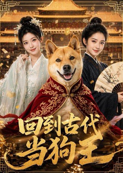 《回到古代当狗王(60集)(百度网盘)》短剧封面