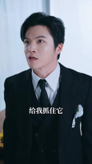 《开局蚊子:进化成神(70集)何怡婷&唐梓铭(夸克网盘)》短剧封面