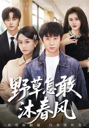 《野草怎敢沐春风（61集）王楚＆周瑾阳（夸克网盘）》短剧封面