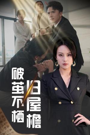 《破茧不栖旧屋檐（30集）赵志盟＆伍怡（夸克网盘）》短剧封面