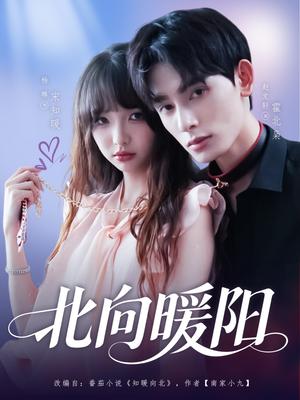 《北向暖阳（80集）赵文轩＆杨琳》短剧封面