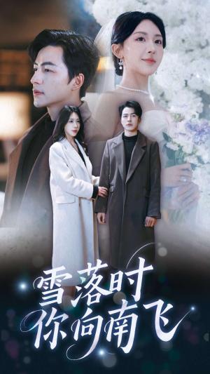《雪落时你向南飞(34集)吴昊&房蕾(夸克网盘)》短剧封面