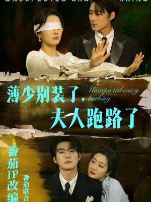 《薄少别装了夫人跑路了（60集）赵振栋＆柳卓青（夸克网盘）》短剧封面