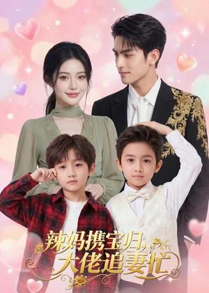 《辣妈携宝归,大佬追妻忙(71集)(夸克网盘)》短剧封面