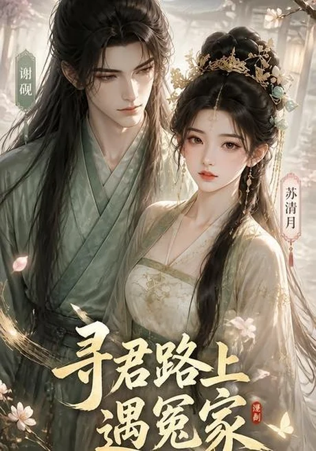 《寻君路上遇冤家(38集)(夸克网盘)》短剧封面