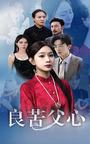 《良苦父心(29集)(夸克网盘)》短剧封面