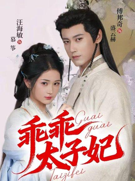 《乖乖太子妃（64集）傅邦奇＆汪海敏》短剧封面