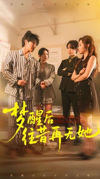 《梦醒后往昔再无她（84集）》短剧封面