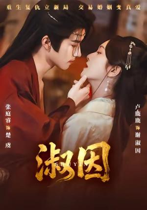 《淑因（65集）张庭睿＆卢鹿鹿（夸克网盘）》短剧封面