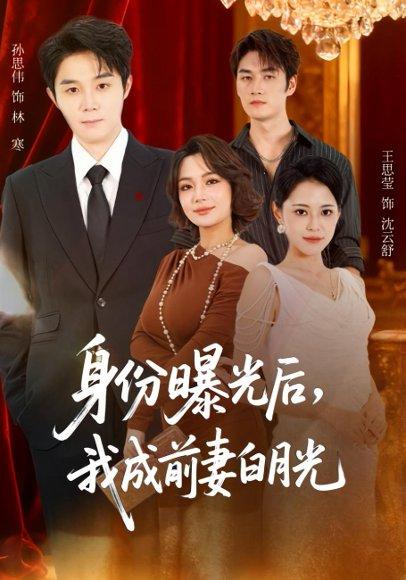 《身份曝光后,我成前妻白月光&隐婚三年,我让前妻高攀不起(85集)》短剧封面