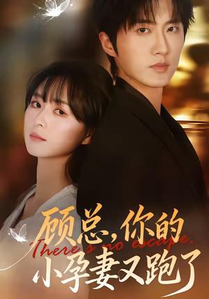 《顾总,你的小孕妻又跑了(47集)马薇&顾天逸(夸克网盘)》短剧封面