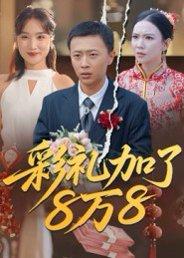 《彩礼加了8万8》短剧封面