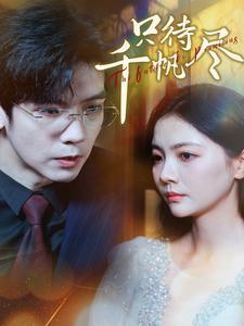 《只待千帆尽（40集）（夸克网盘）》短剧封面