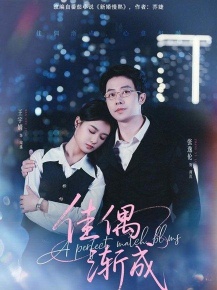 《佳偶渐成(71集)张逸伦&王宇婧》短剧封面