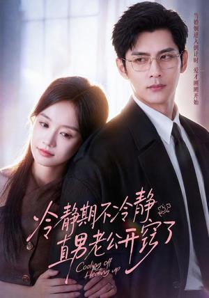 《冷静期不冷静,直男老公开窍了(73集)秦琛琛&张诗媛(1080P)(夸克网盘)》短剧封面