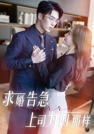 《求婚告急上司为何那样（70集）孟璐&卡戎（夸克网盘）》短剧封面