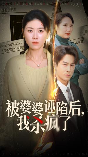 《被婆婆诬陷后我杀疯了(30集)诸玲颖(夸克网盘)》短剧封面