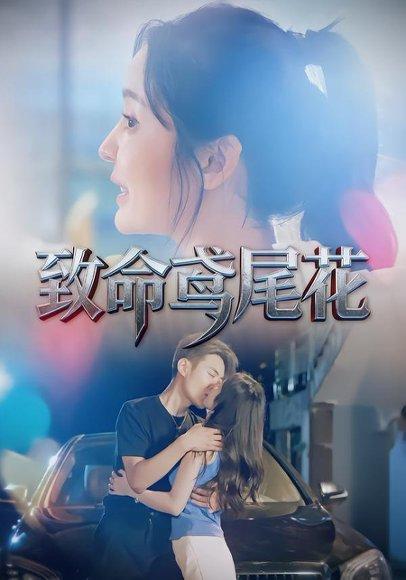《致命鸢尾花（60集）娜吉玛&郑天龙》短剧封面