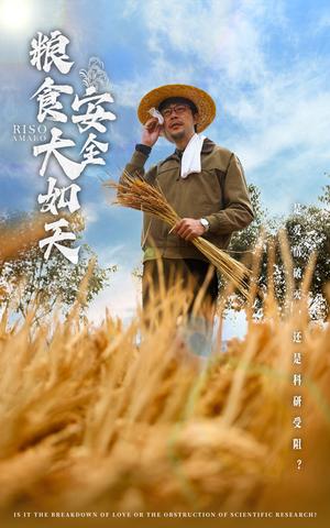 《粮食安全大如天(43集)程娜(夸克网盘)》短剧封面