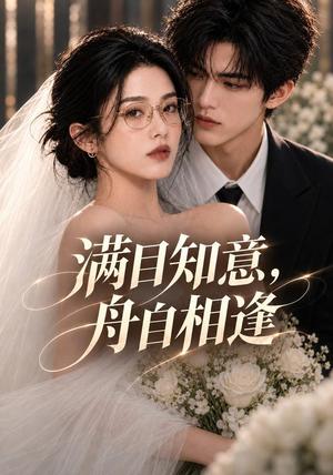 《满目知意,舟自相逢(40集)(夸克网盘)》短剧封面