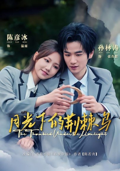 《月光下的荆棘鸟（80集）陈彦冰＆孙林涛（百度网盘）》短剧封面