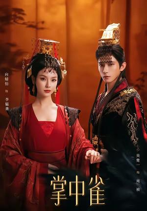 《掌中雀(80集)吴楚一&向婧怡(夸克网盘)》短剧封面