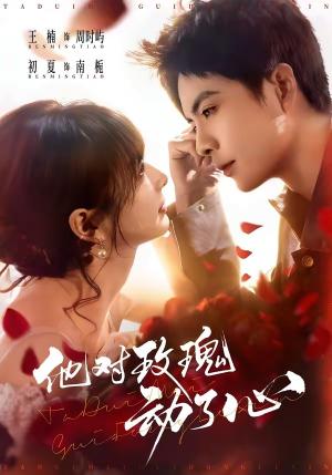 《他对玫瑰动了心（68集）王楠＆初夏（夸克网盘）》短剧封面