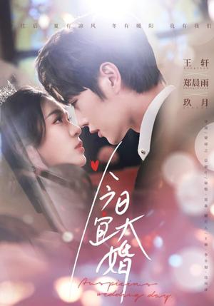 《今日宜大婚（59集）王轩＆郑雨晨（夸克网盘）》短剧封面