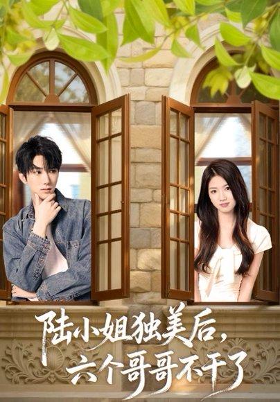 《陆小姐独美后六个哥哥不干了(84集)》短剧封面