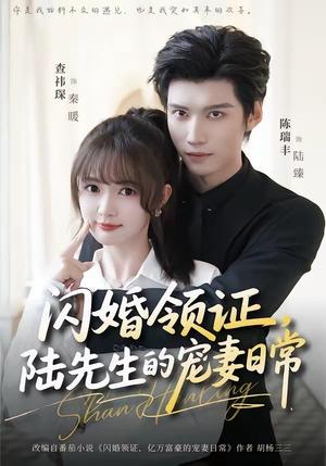 《闪婚领证，陆先生的宠妻日常（86集）陈瑞丰＆查祎琛（夸克网盘）》短剧封面