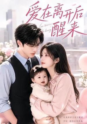 《爱在离开后醒来（43集）（夸克网盘）》短剧封面