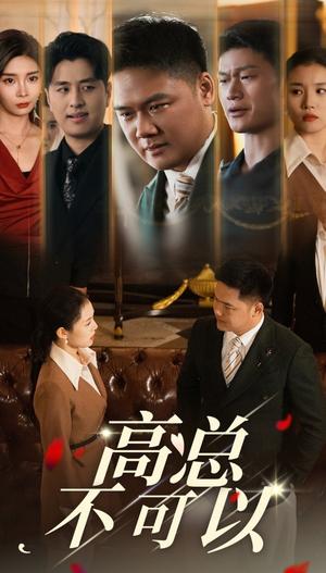《高总不可以（45集）（夸克网盘）》短剧封面