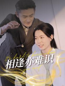 《相逢亦难识（50集）（夸克网盘）》短剧封面