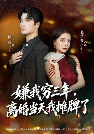 嫌我穷三年,离婚当天我摊牌了 《嫌我穷三年,离婚当天我摊牌了》短剧封面