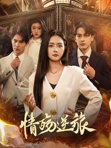 《情殇逆旅(90集)雷玉孟(夸克网盘)》短剧封面