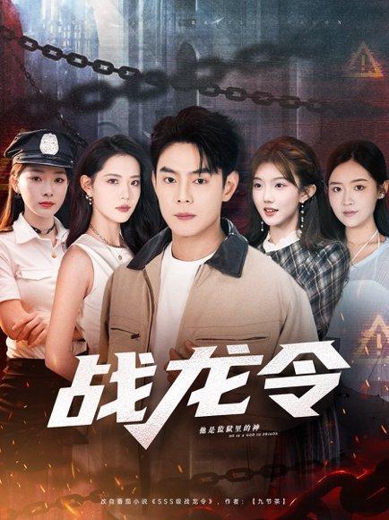 《战龙令（76集）》短剧封面