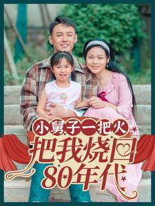 《小舅子一把火把我烧回80年代(100集)(夸克网盘)》短剧封面