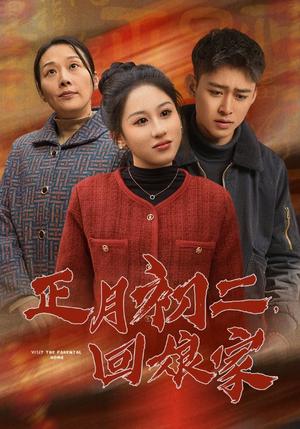 《正月初二回娘家（41集）（夸克网盘）》短剧封面