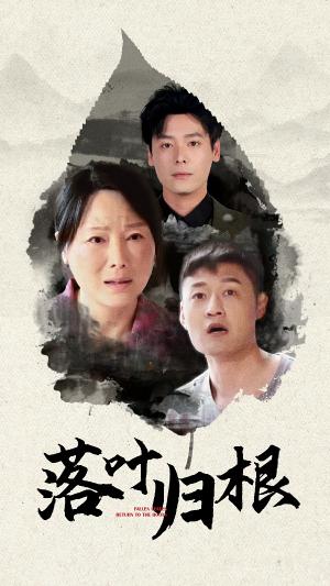 《落叶归根（74集）（夸克网盘）》短剧封面
