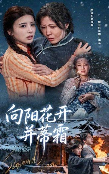《向阳花开并蒂霜》短剧封面