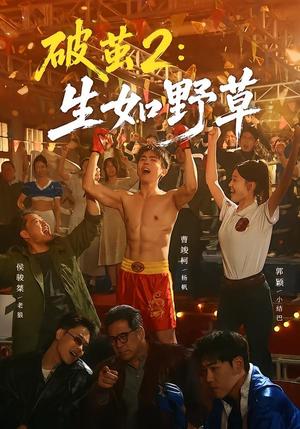 《破茧2:生如野草(55集)曹竣柯&郭颖(夸克网盘)》短剧封面