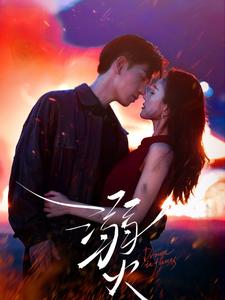 《溺火(59集)王嘉懋&可凡(夸克网盘)》短剧封面