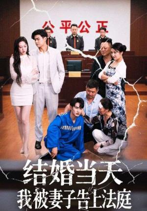 《结婚当天我被妻子告上法庭（30集）王惠子&张玉忱》短剧封面