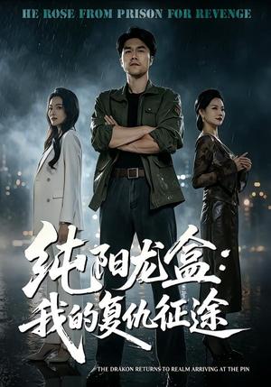 《纯阳龙盒:我的复仇征途(80集)师彬&吕洁(夸克网盘)》短剧封面