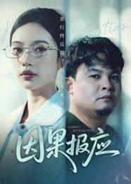 《因果报应》短剧封面