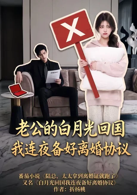 《老公的白月光回国我连夜备好离婚协议（100集）（夸克网盘）》短剧封面